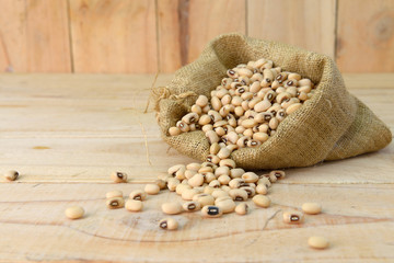 soybeans