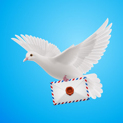 Obraz premium Dove white