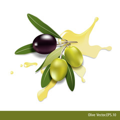 Black and green olives with oil olive on white background