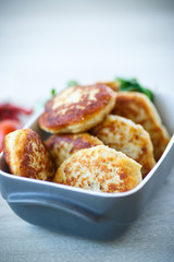 Fish fried patties