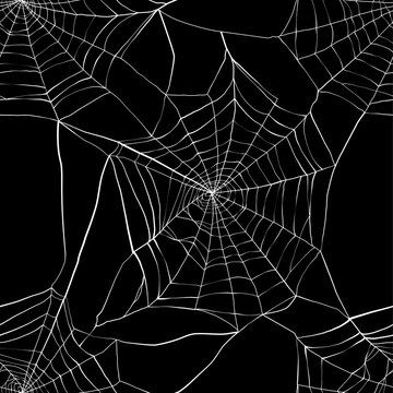 Seamless pattern with spider web 