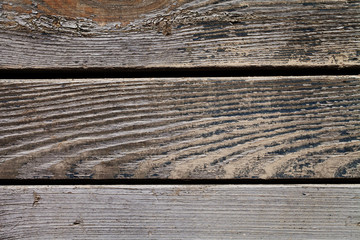 Old wood texture with paint