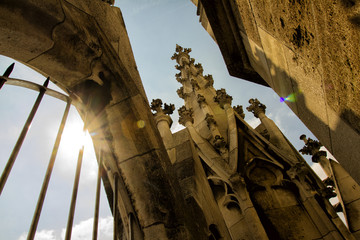 Sonnenstrahlen erleuchten Münchner Rathaus