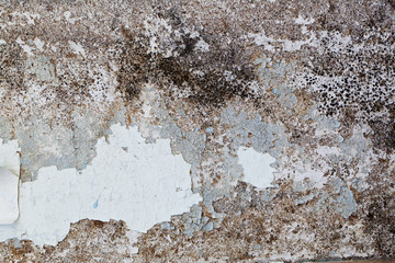 Cracked paint on an old wooden door