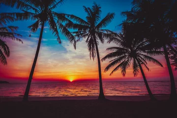 Foto op Plexiglas zonsondergang tropisch strand. Mooie zonsondergang © EwaStudio