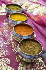 Silver Indian Masala Dabba Spice Pots on Pink and Gold Paisley Sari