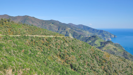 Blick von der Küstenstrasse in die Cinque Terre bei Vernazza in Ligurien,italienische Riviera,Italien