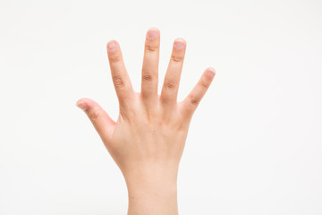 The hands of children No5 子供の手でNo5