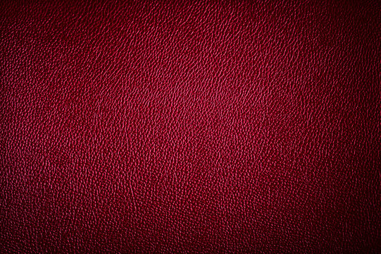 The surface of the leather