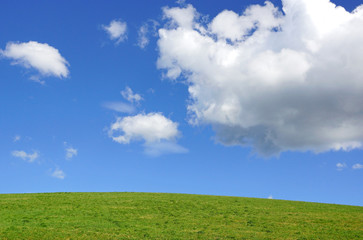 Fototapeta premium Grüne Wiese mit blauem Himmel und Wolken