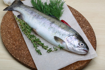 Raw trout