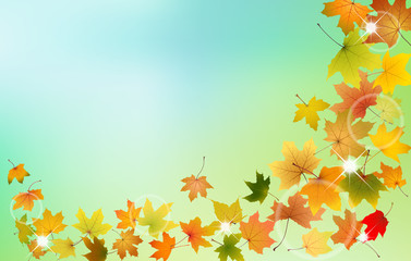 Maple autumn leaves falling down on natural background, vector illustration.