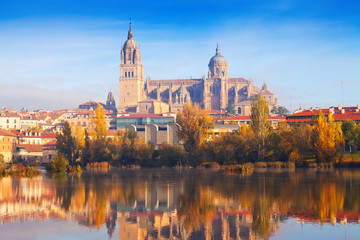 Salamanca Cathedral from Tormes River - obrazy, fototapety, plakaty