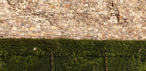 The fortress wall and dividing hedges