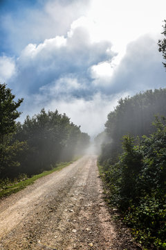 Luce nel sentiero montano
