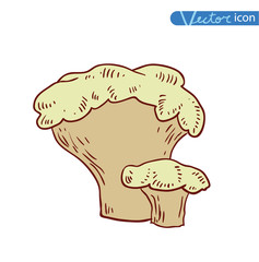  mushrooms set icons, vector illustration.