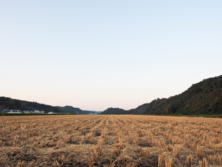 秋田の秋