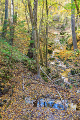 Creek in a canyon