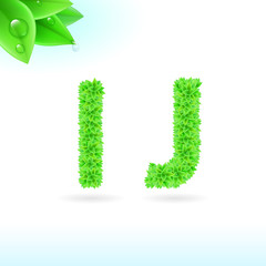 Sans serif font with green leaf decoration