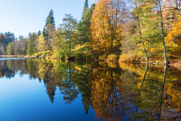 Fototapeta na wymiar View of a woods lake in autumn