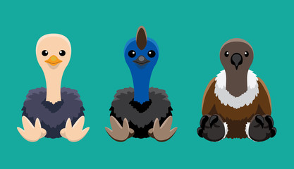 Ostrich Cassowary Vulture Doll Set Cartoon Vector Illustration