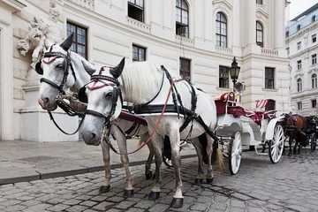 Fotobehang Vienna, fiaker in front of Hofburg © Ingo Bartussek