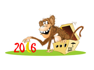 monkey 2016