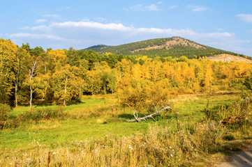 Obraz premium Nature