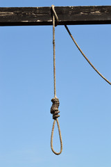 HANGING NOOSE 