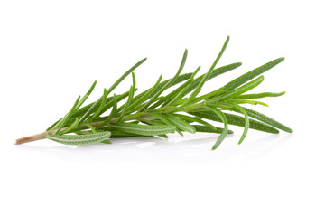 Fototapeta premium rosemary isolated on white background