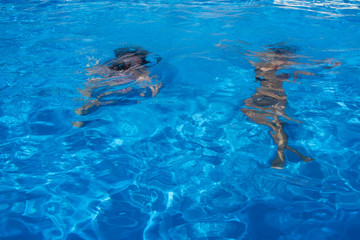 Young girls swimming under water