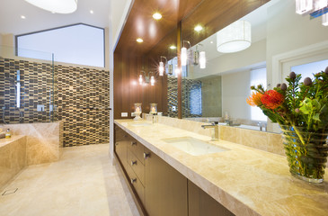 Bathroom with marble decor