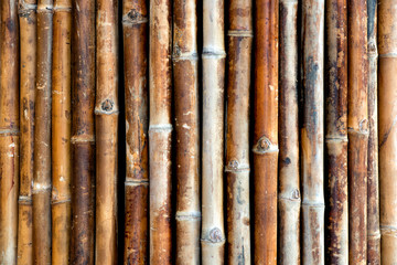 Background texture of bamboo canes