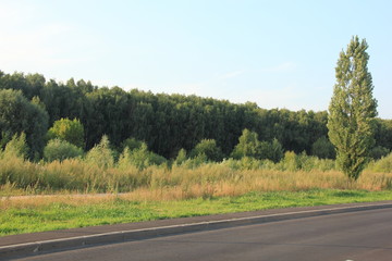 Naklejka premium парк