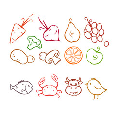 Vegetables, fruits and meat