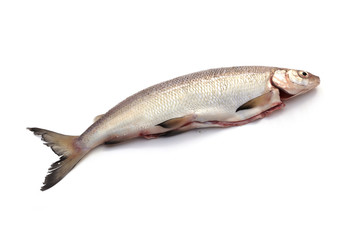 Poisson