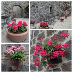 Fototapeta na wymiar picturesque corner with garden furniture and many flowers in tus