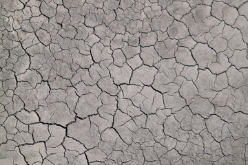 Cracked ground