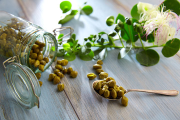Capers pickled with plant and caper plant flower