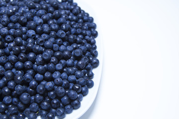bilberry