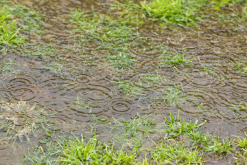 rain causing splashes and puddles on a patch of grass