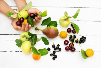 The handful of fruits