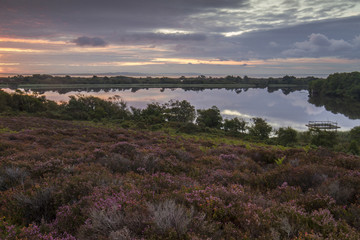 sunrise over heathland and lake