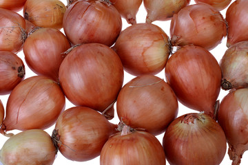 Fresh onion