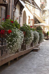 Street decoration cafe with flowers