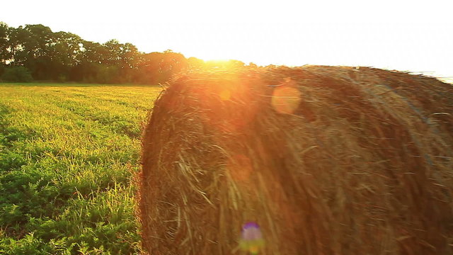 harvest in a field on a background of a beautiful sunset in the fall
