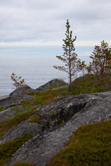 Остров Касьян в Белом море осенью