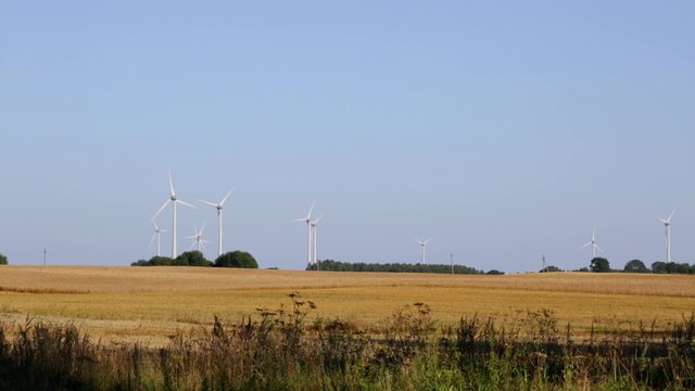 Wind power plant on the field of wheat. Lithuania.