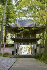 Obraz premium 名勝那谷寺の夏模様