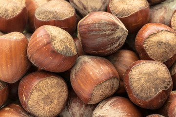 Haselnüsse